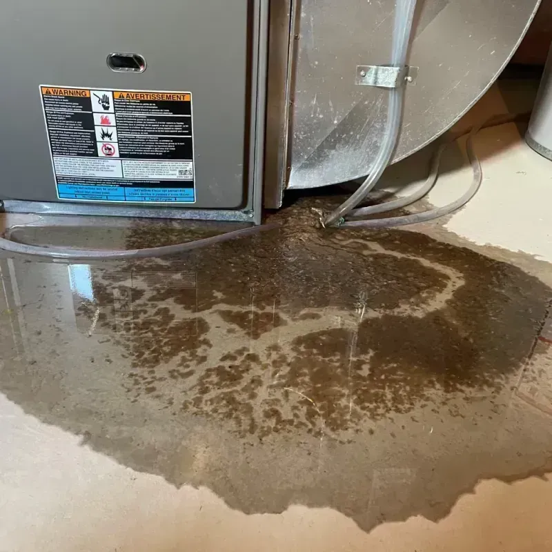 Appliance Leak Cleanup in Springs, NY